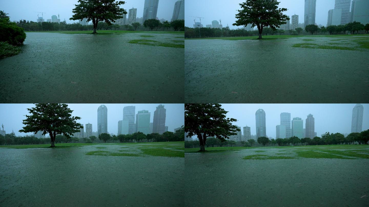 公园雨景