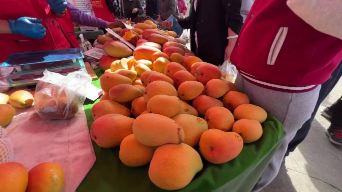 【镜头合集】超市菜市场卖水果摊位芒果