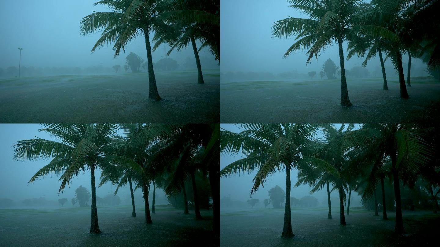 椰林雨景-慢镜头
