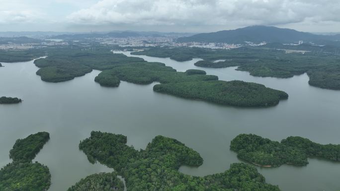 深圳水资源