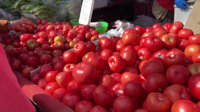 【镜头合集】赶大集购买西红柿番茄圣女果