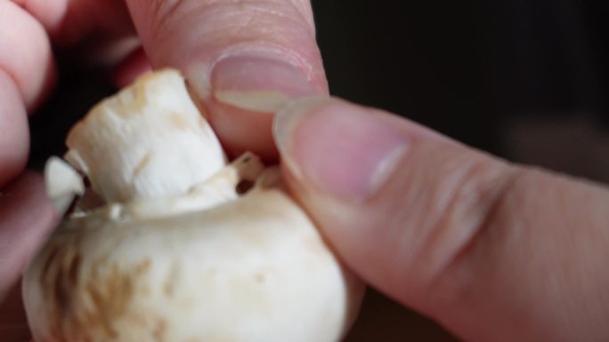 【镜头合集】菜刀案板切口蘑白蘑菇