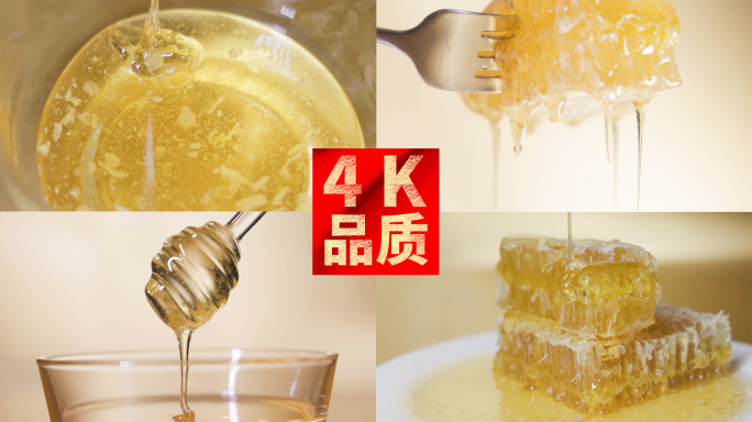 4k蜂蜜蜂巢特写慢动作视频合集