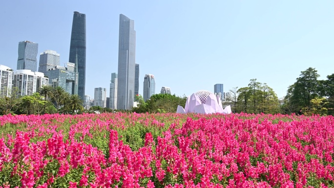 节日的广州花城广场建筑群和美丽公园4K