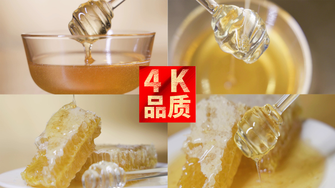 4k蜂蜜蜂巢特写慢动作视频合集