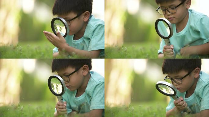 孩子们在户外用放大镜学习。概念自学与环境