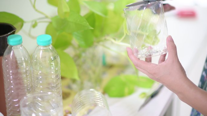 利用回收塑料瓶在家中种植盆栽植物的特写镜头