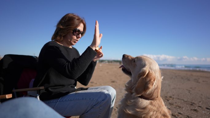 那个女人在海滩上给她的狗做服从训练。
