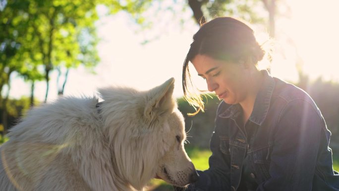 一名妇女在公园里用食物喂养瑞士牧羊犬