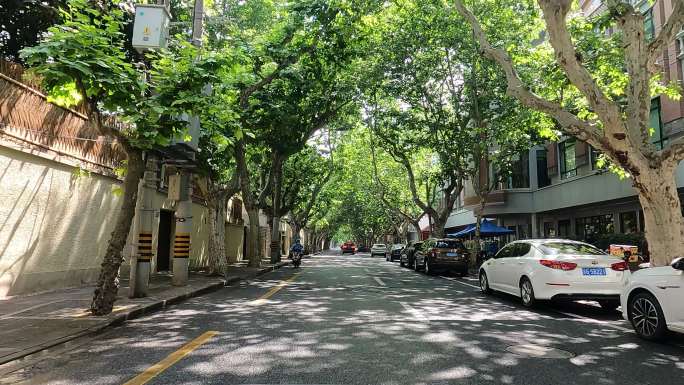 上海封城中的阳光斑驳城区街道