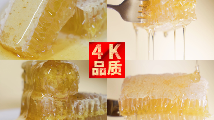 4k蜂蜜蜂巢特写慢动作视频合集