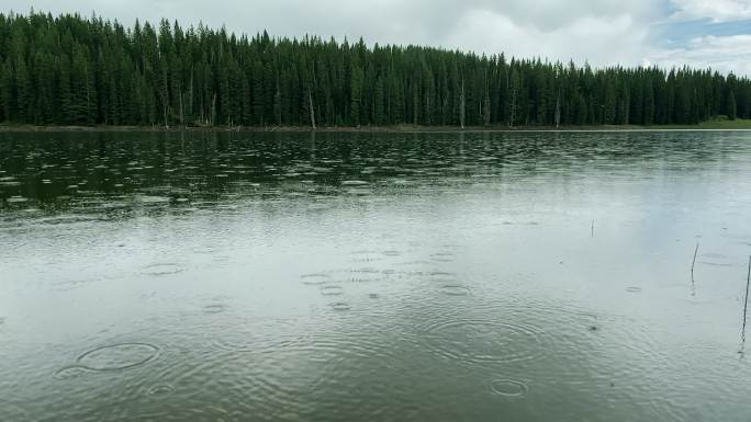 充满活力的壮丽森林和雨天大台地国家森林水库湖泊充满活力的风景4K视频