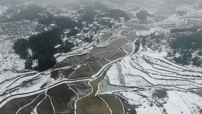 航拍南方农业种植水田雪景