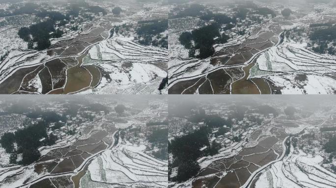 航拍南方农业种植水田雪景