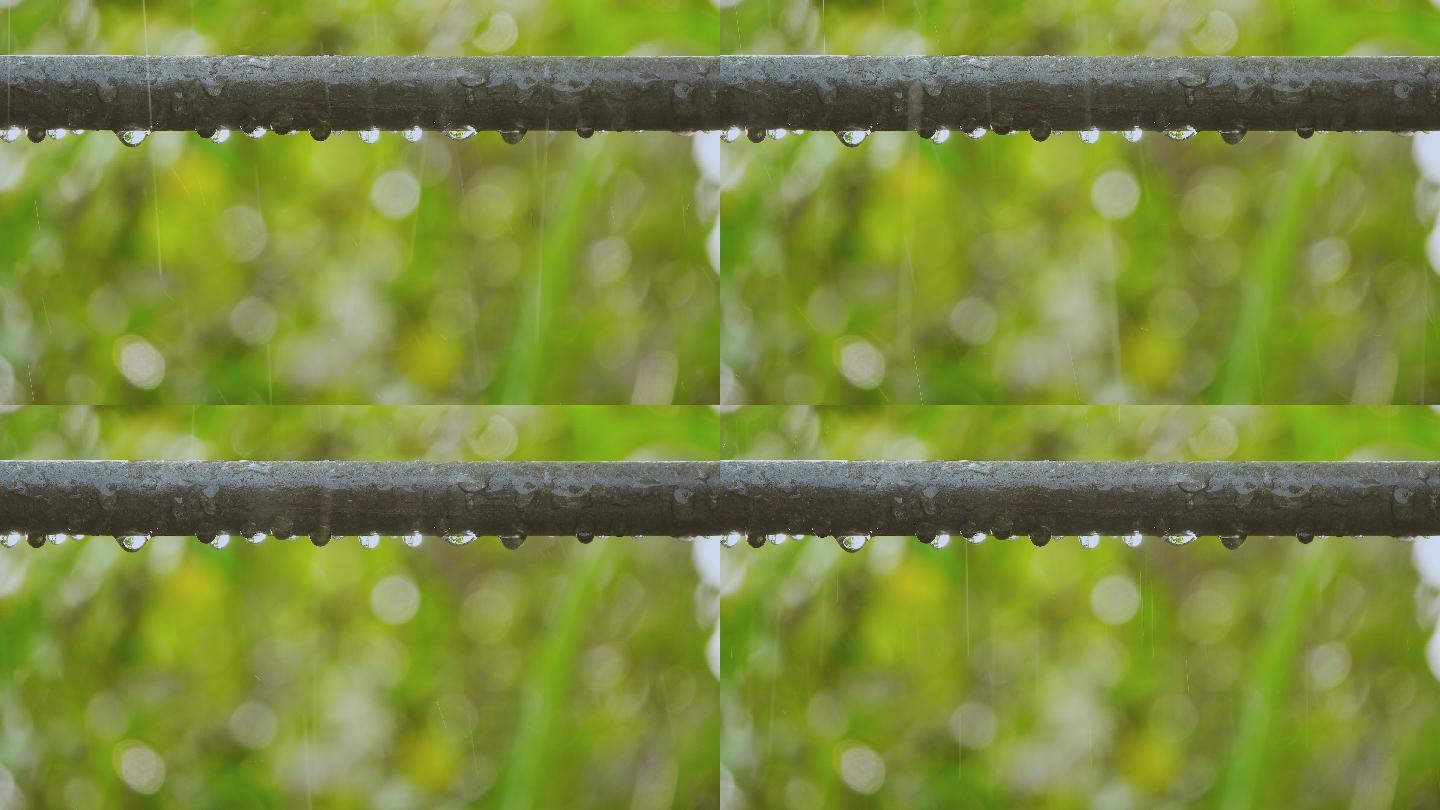 雨天。下雨落雨细雨