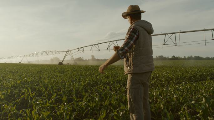 斯洛莫农民看着农业洒水车给玉米田浇水
