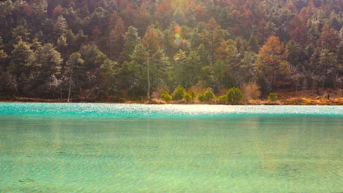 美丽的湖水玉龙河美景绿色湖水秋天森林