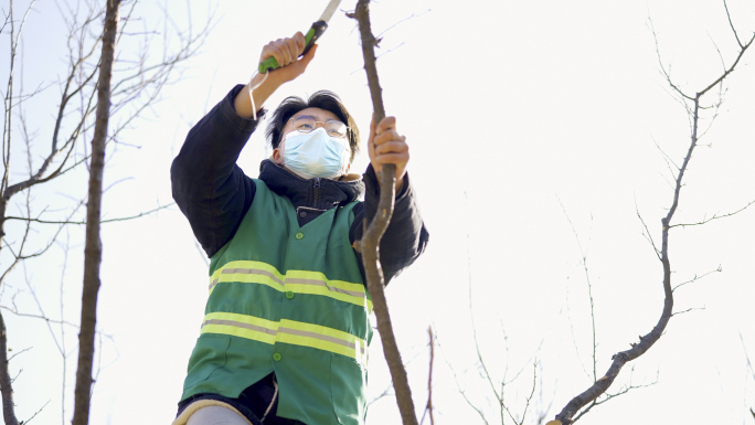 园林养护工人修剪树枝
