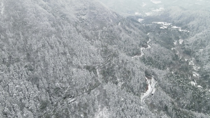 航怕大山雪景森林公路