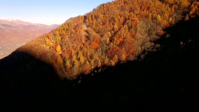 秋天飞越林地秋高气爽高山掠过