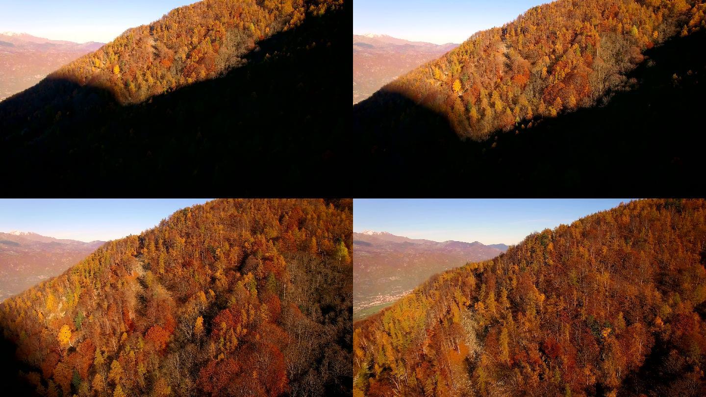 秋天飞越林地秋高气爽高山掠过