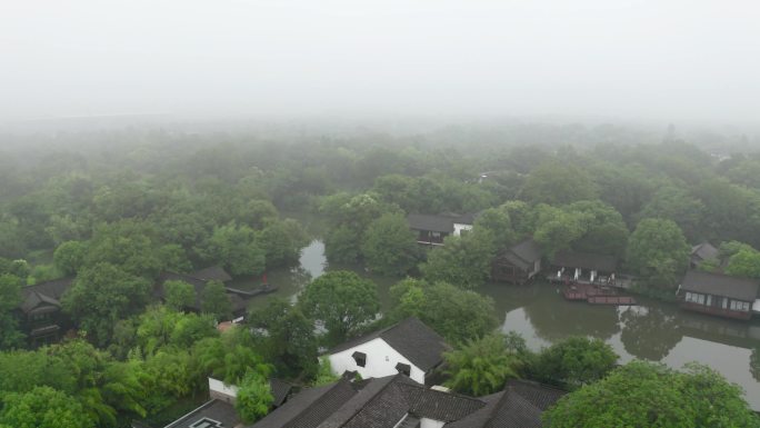杭州西溪湿地云雾美景（含log视频）