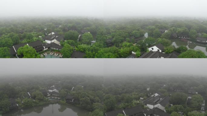 杭州西溪湿地云雾美景（含log视频）