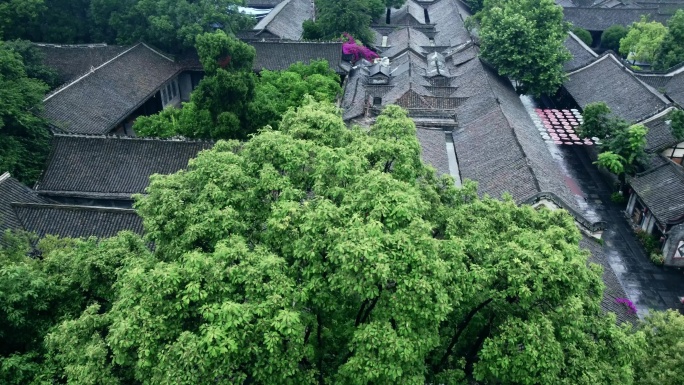 雨后安仁古镇 清晨雨后的古镇 大邑安仁