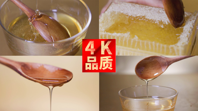 4k蜂蜜蜂巢特写慢动作视频合集