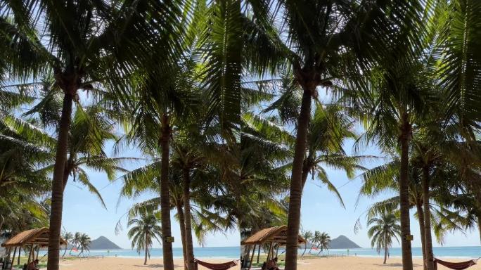 悠闲夏日海南热带椰树林和沙滩
