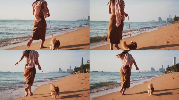 带着可爱的吉娃娃宠物在海滩上散步的女人