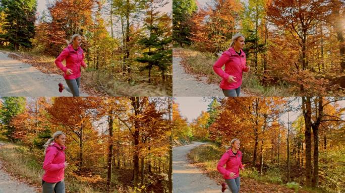TS女跑步者每天在森林中跑步