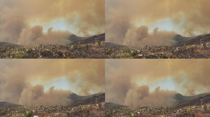 森林火灾大兴安岭着火二氧化碳中毒大火有毒