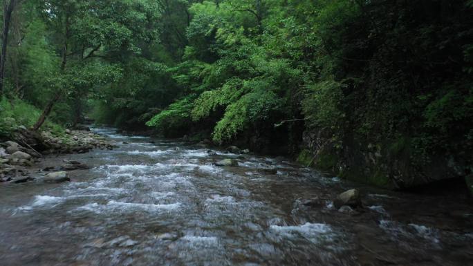 航拍山涧清澈溪流