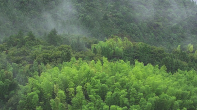 山里人家