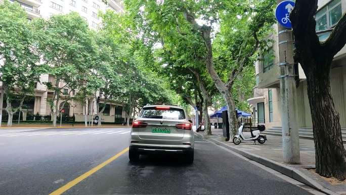 上海封城中的老城区街道绿化