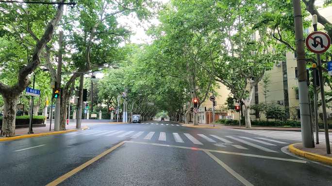 上海封城中的寂静街道绿化环境