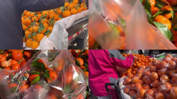 【镜头合集】菜市场买沃柑粑粑橙橘子橙子