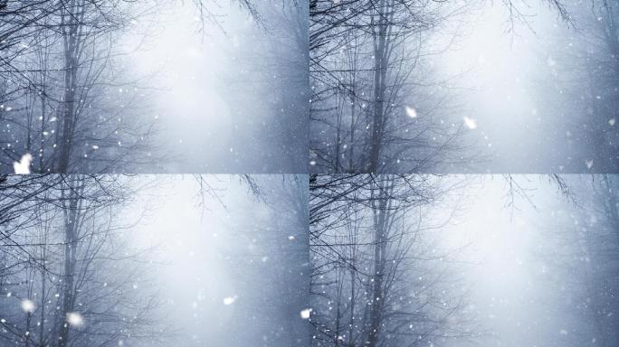4k视频《降雪的冬季森林》。新年圣诞背景。