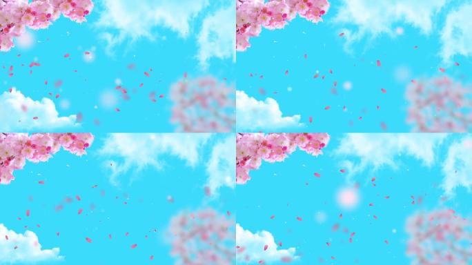 粉蓝色天空花瓣 小清新 视频背景