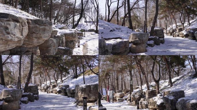 【镜头合集】落雪假山石岩石圆明园雪景