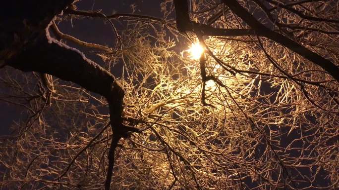 北京的夜晚凌晨的小雪漫长的夜