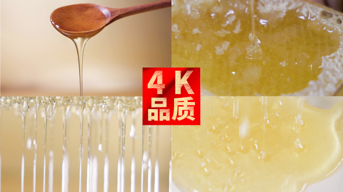 4k蜂蜜蜂巢特写慢动作视频合集