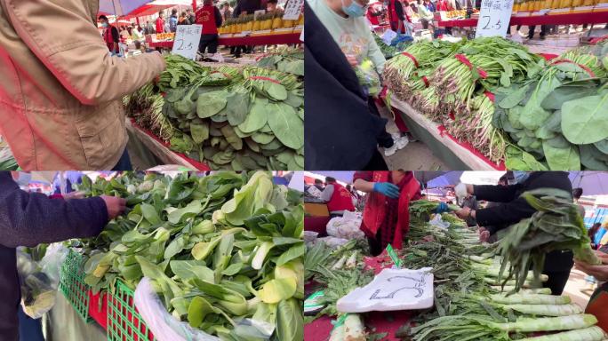【镜头合集】买菠菜买油菜买绿叶菜卖菜