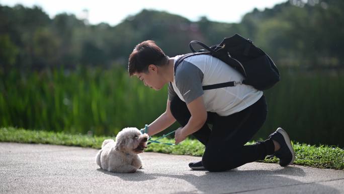 早上，中国亚裔中年短发女性与她的宠物狗玩具贵宾犬在公园里粘在一起