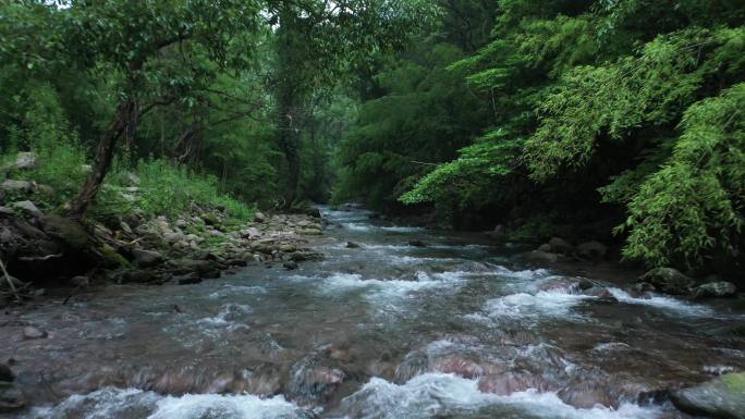 航拍山涧清澈溪流