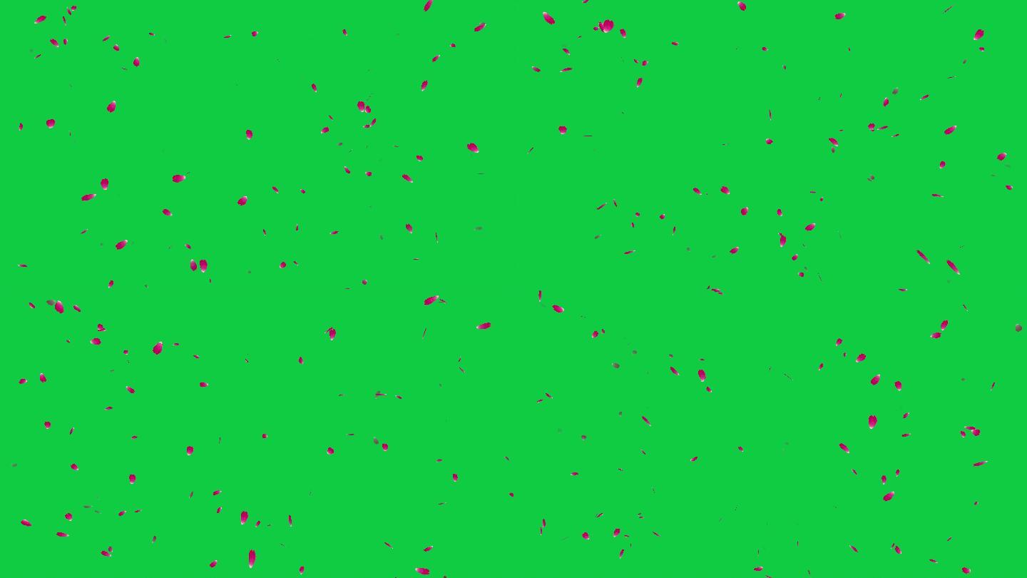 绿色屏幕背景上飘落的玫瑰花瓣，可循环，4K Alpha通道，粉红色玫瑰花，使用颜色键，只需在时间线上