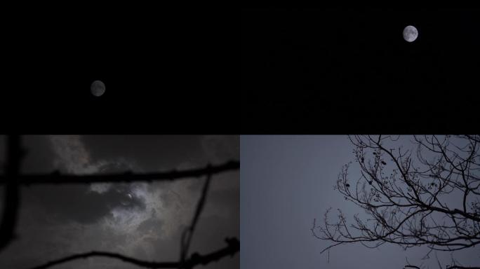 高清夜晚月亮摄影