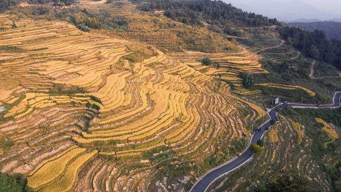 梯田绿水青山乡村振兴乡村旅游