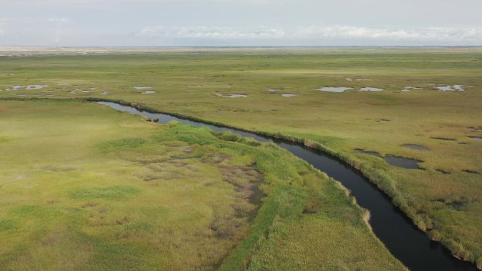 原创 新疆博斯腾湖草原湿地孔雀河自然景观